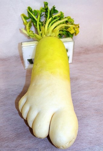 “Incredibly,” the world’s strangest genetically modified bulbs and fruits